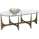 Juliane 47 X 24 inch Clear / Antique Brass Coffee Table
